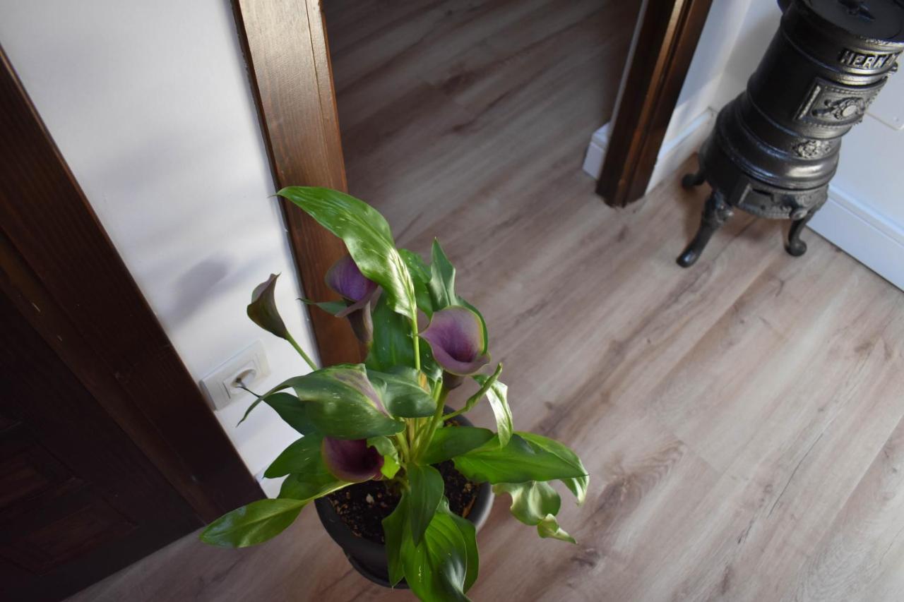 Holiday home Tierras De *